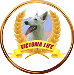 CYNOLOGY CLUB  "VICTORIA LIFE" (RUSSIA)